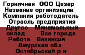 Горничная. ООО Цезар › Название организации ­ Компания-работодатель › Отрасль предприятия ­ Другое › Минимальный оклад ­ 1 - Все города Работа » Вакансии   . Амурская обл.,Октябрьский р-н